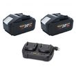 2 шт АКБ Procraft Battery20/8 + Charger20/2