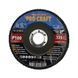 Диск лепестковый Procraft FZ125P100T29 UNIVERSAL 7222546 фото 1