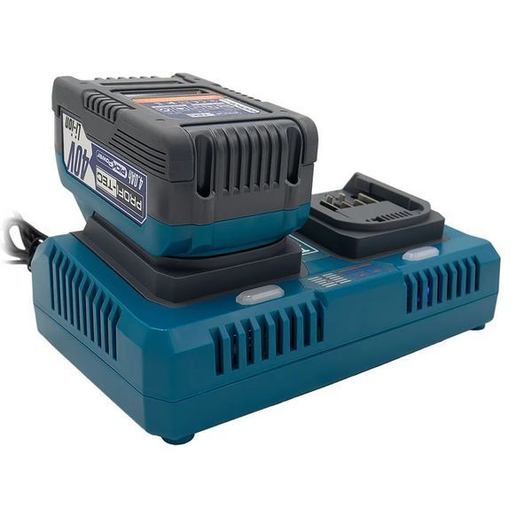 Двопортовий швидкозарядний пристрій PROFI-TEC QBCD40/4PP dual quick 0308629 фото