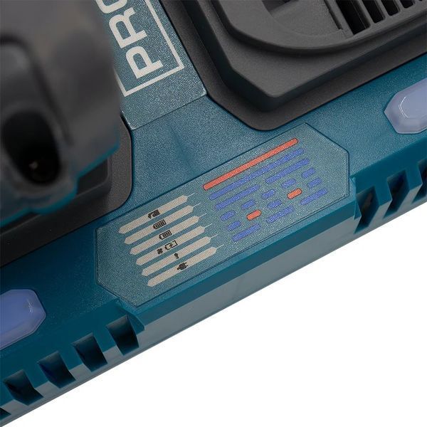 Двопортовий швидкозарядний пристрій PROFI-TEC QBCD40/4PP dual quick 0308629 фото